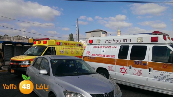 ta3neyaafafa (4).jpg